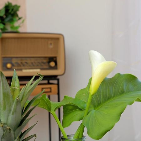 Blue Cliff Apartment 두브로브니크 외부 사진